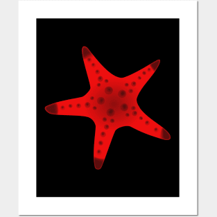 Sea Star 2 Posters and Art